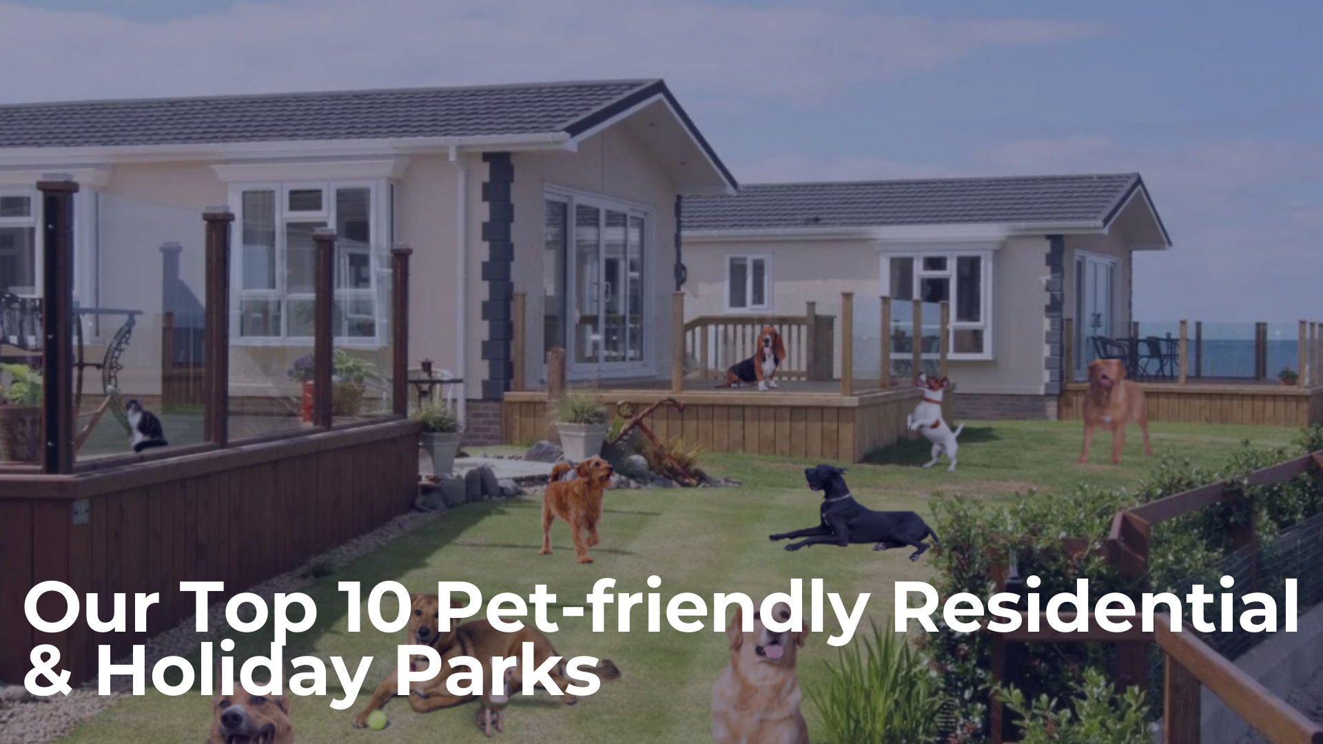 Our Top 10 Pet-Friendly Residential & Holiday Parks