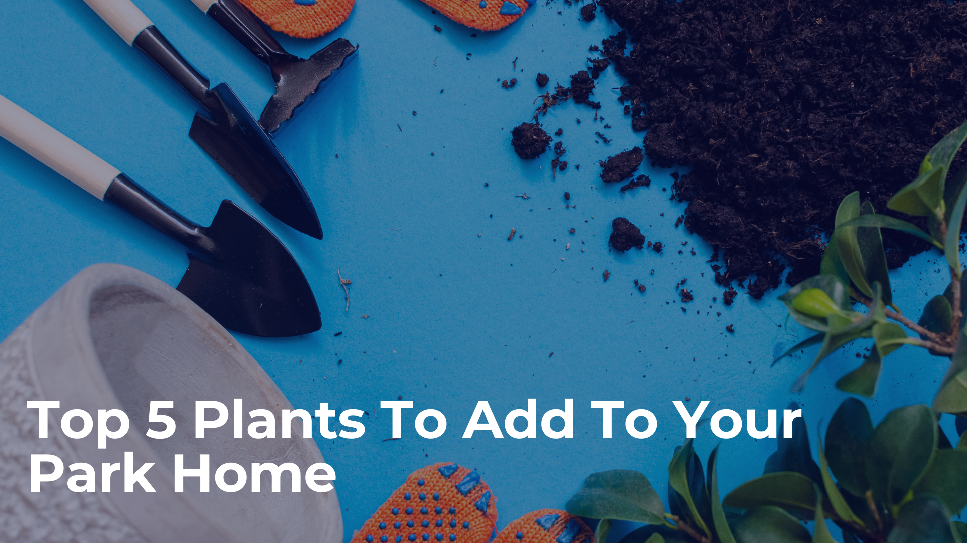Top 5 Plants To Add To Your Park Home