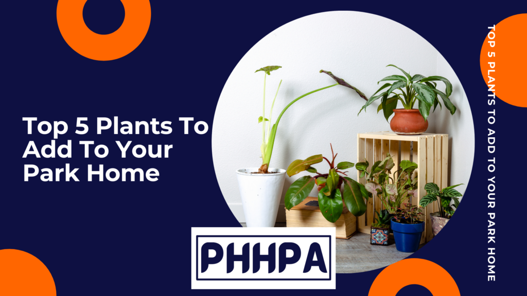 PHHPA Plants for your home
