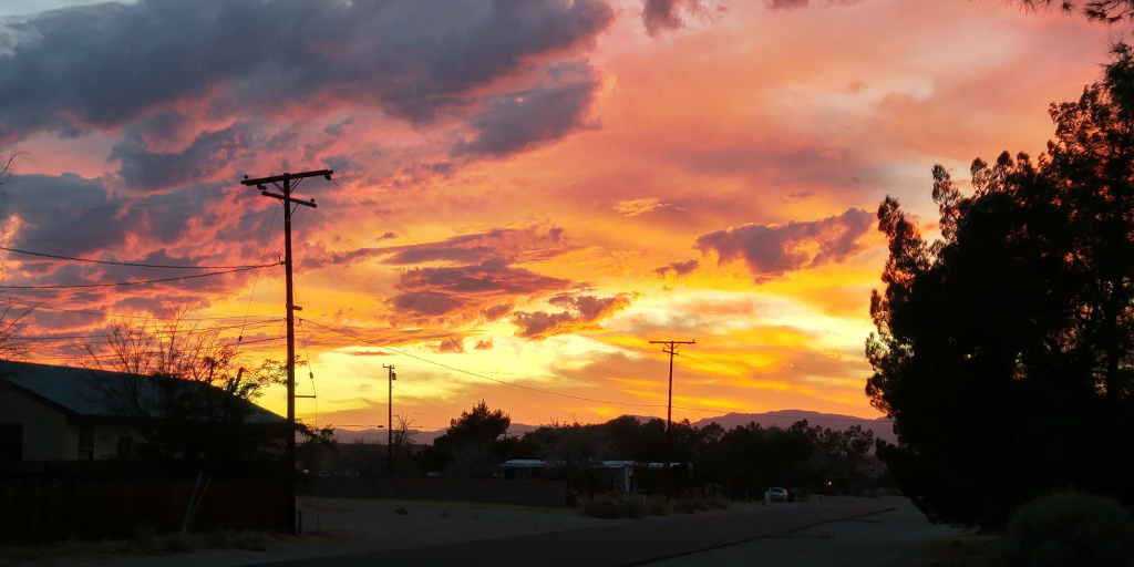 Decking In Great Bardfield Essex PHHPA